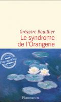 Zoomer à mort: Grégoire Bouillier über Monets Seerosen