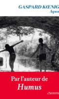 Hydrologische Metaphern und soziale Aushandlungsprozesse: zur politischen Ökologie des Wassers bei Gaspard Kœnig