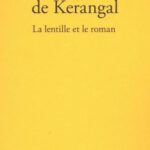 Vom defekten Auge zur Poetik des genauen Blicks: Maylis de Kerangal