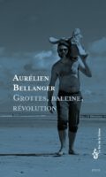 Die zerlegte Republik und ein Wal-Skelett: Aurélien Bellanger