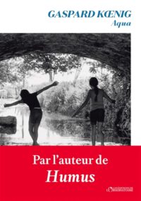 Hydrologische Metaphern und soziale Aushandlungsprozesse: zur politischen Ökologie des Wassers bei Gaspard Kœnig