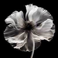 Die Blume als Text, Körper und Gefahr: drei Romane von Colette Fellous, Célia Houdart und Constance Guisset