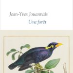 Was vom Krieg bleibt: Stein, Sand, Zitat und Vogelgesang bei Jean-Yves Jouannais