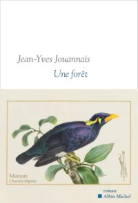 Was vom Krieg bleibt: Stein, Sand, Zitat und Vogelgesang bei Jean-Yves Jouannais